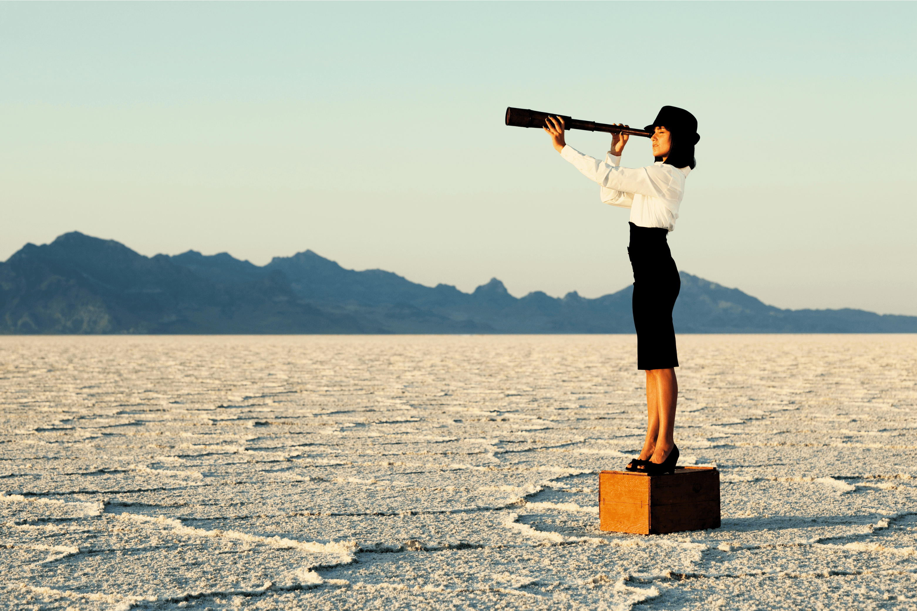 Une Expertise business complète